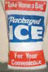 Paper Ice Bag