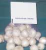 Vexar Onion Bag